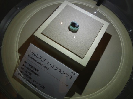 f:id:shorebird:20141005092207j:image