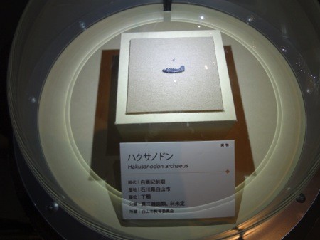 f:id:shorebird:20141005092208j:image