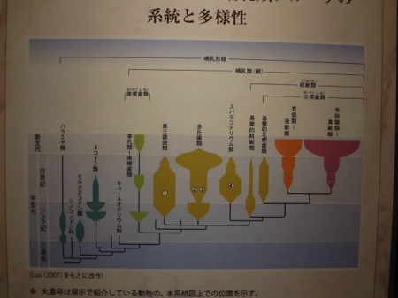 f:id:shorebird:20141005092209j:image