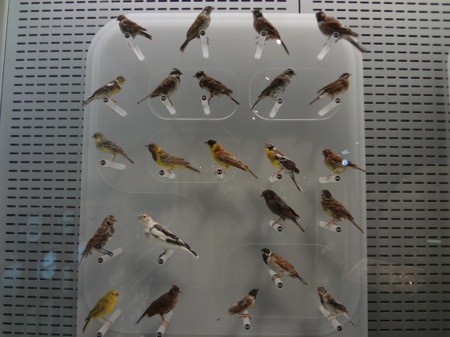 f:id:shorebird:20141005092317j:image