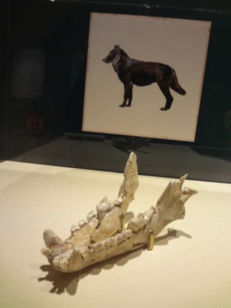 f:id:shorebird:20141005092320j:image