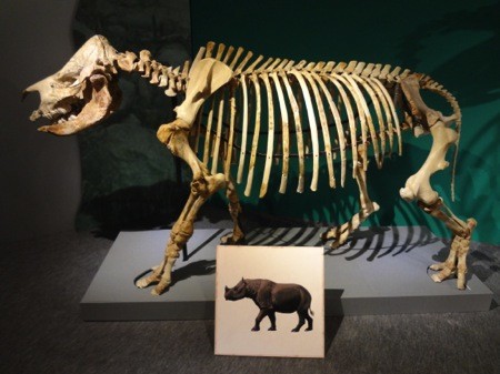 f:id:shorebird:20141005092321j:image