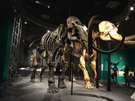 f:id:shorebird:20141005092322j:image