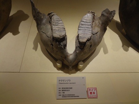 f:id:shorebird:20141005092323j:image