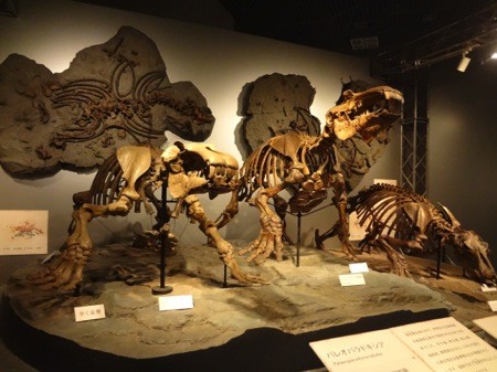 f:id:shorebird:20141005093107j:image