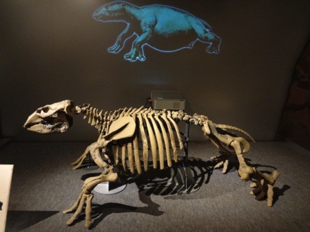 f:id:shorebird:20141005093108j:image