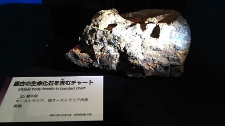 f:id:shorebird:20151001203738j:image