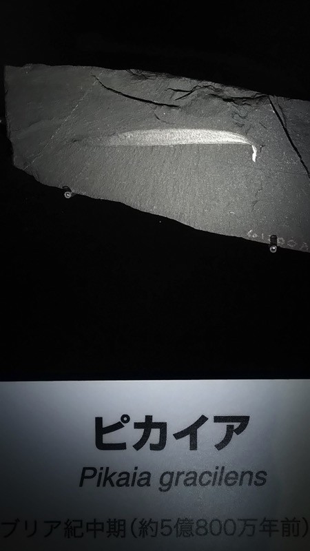 f:id:shorebird:20151001204010j:image