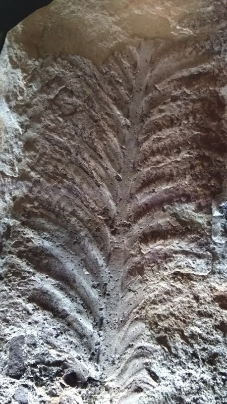 f:id:shorebird:20151001204013j:image