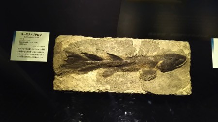 f:id:shorebird:20151001204215j:image