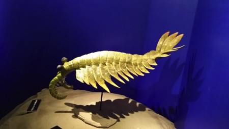 f:id:shorebird:20151001204219j:image