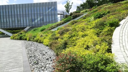 f:id:shorebird:20160922214946j:image f:id:shorebird:20160922214946j:image