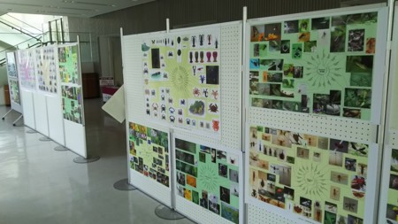 f:id:shorebird:20161001075315j:image