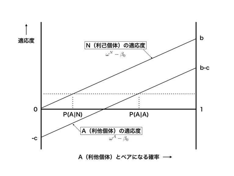 f:id:shorebird:20170809071022j:image