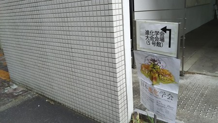 f:id:shorebird:20180909070510j:image