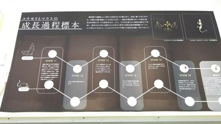 f:id:shorebird:20180929100238j:image