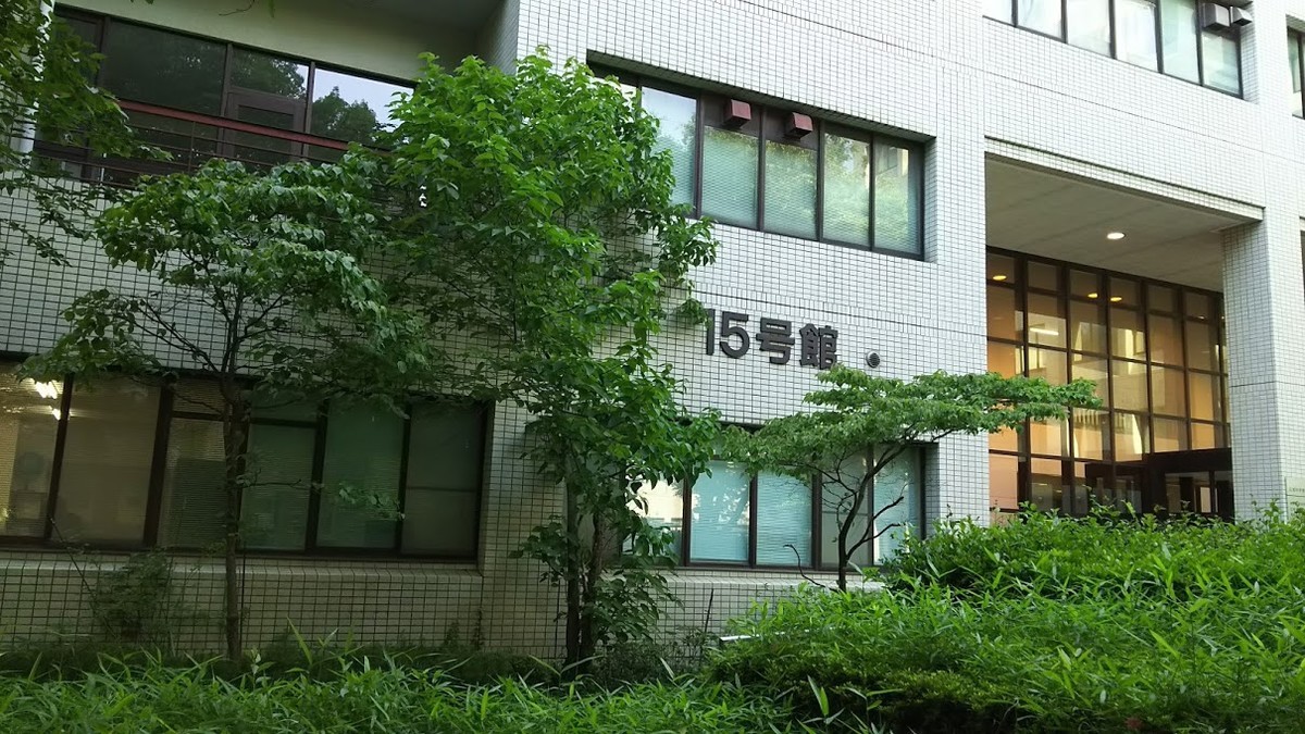 f:id:shorebird:20190607071929j:plain f:id:shorebird:20190607071929j:plain