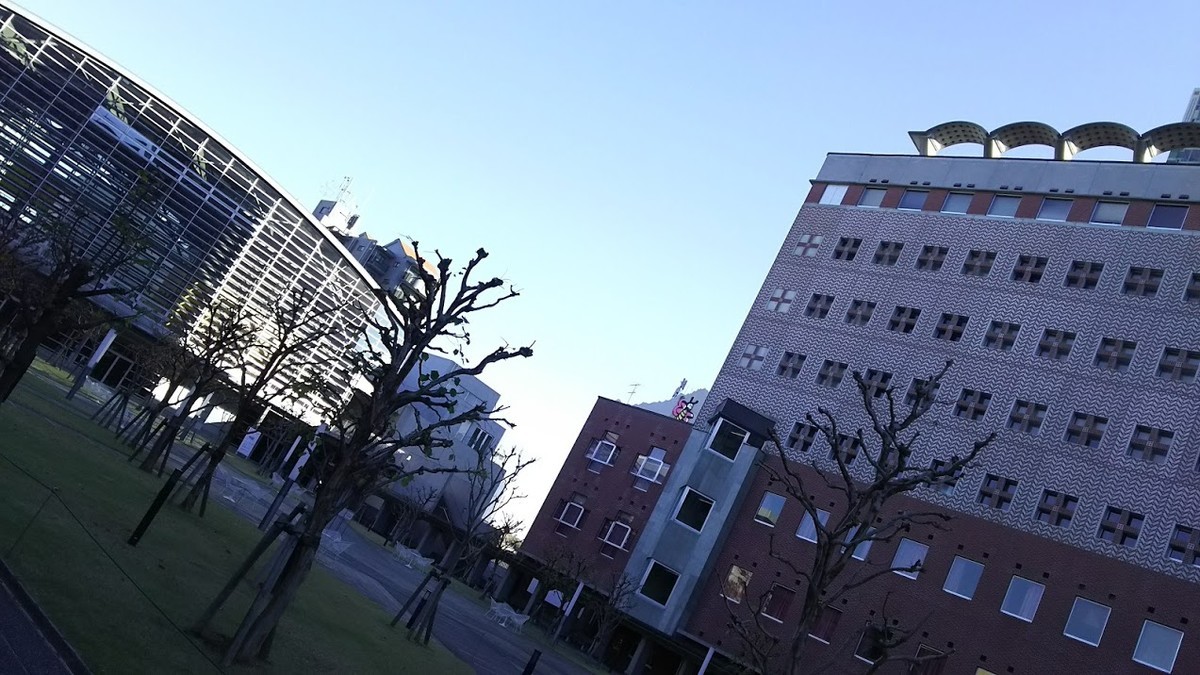 f:id:shorebird:20191218075104j:plain f:id:shorebird:20191218075104j:plain