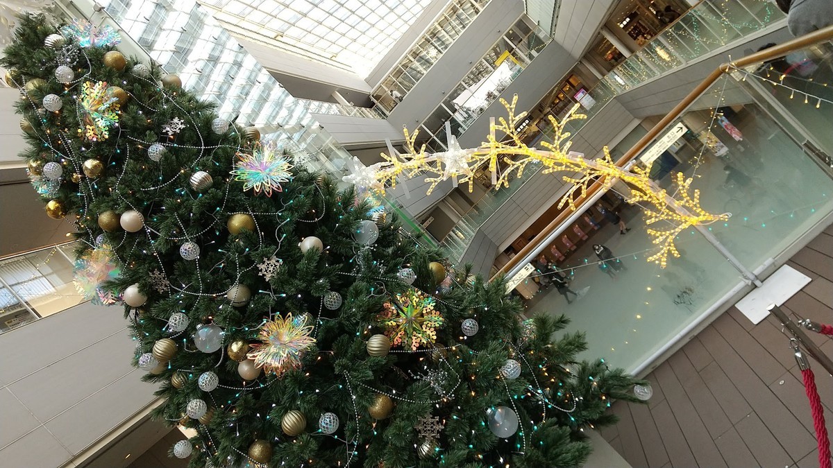 f:id:shorebird:20211213122911j:plain