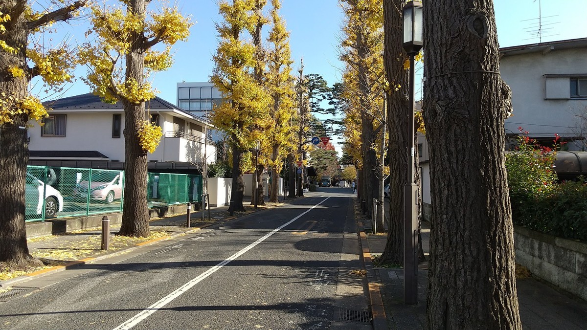 f:id:shorebird:20211213123000j:plain