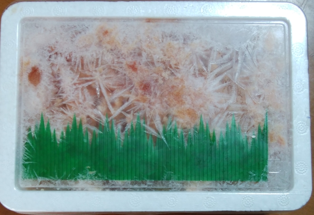 f:id:shoreblue:20190227202612j:plain