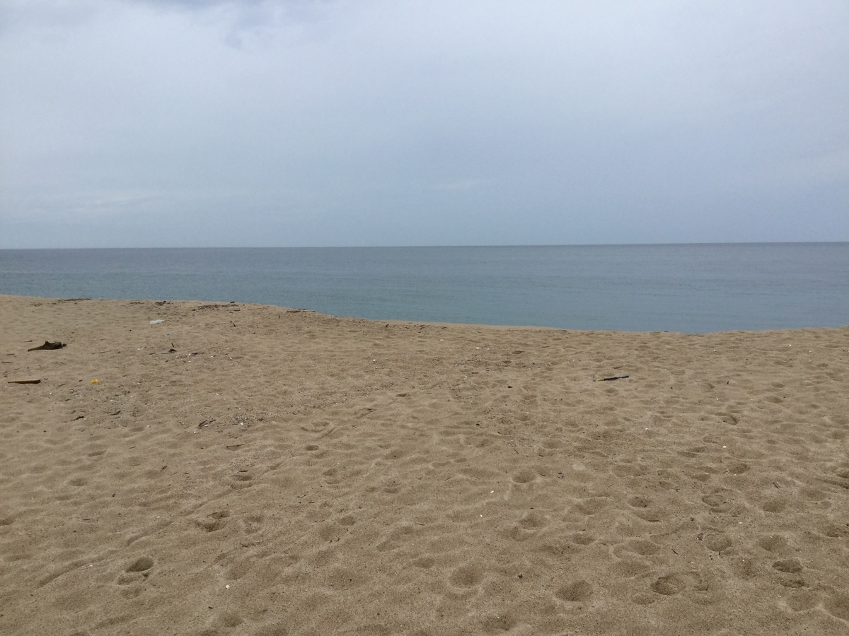 f:id:shoregomoku:20190723110412j:plain