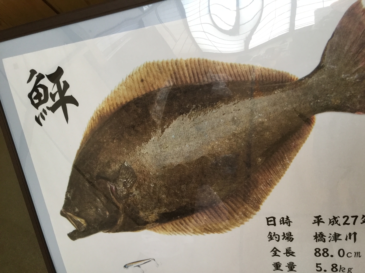鳥取釣り場情報 北栄町と湯梨浜町で狙うキス ヒラメ マゴチ Gomoku Life