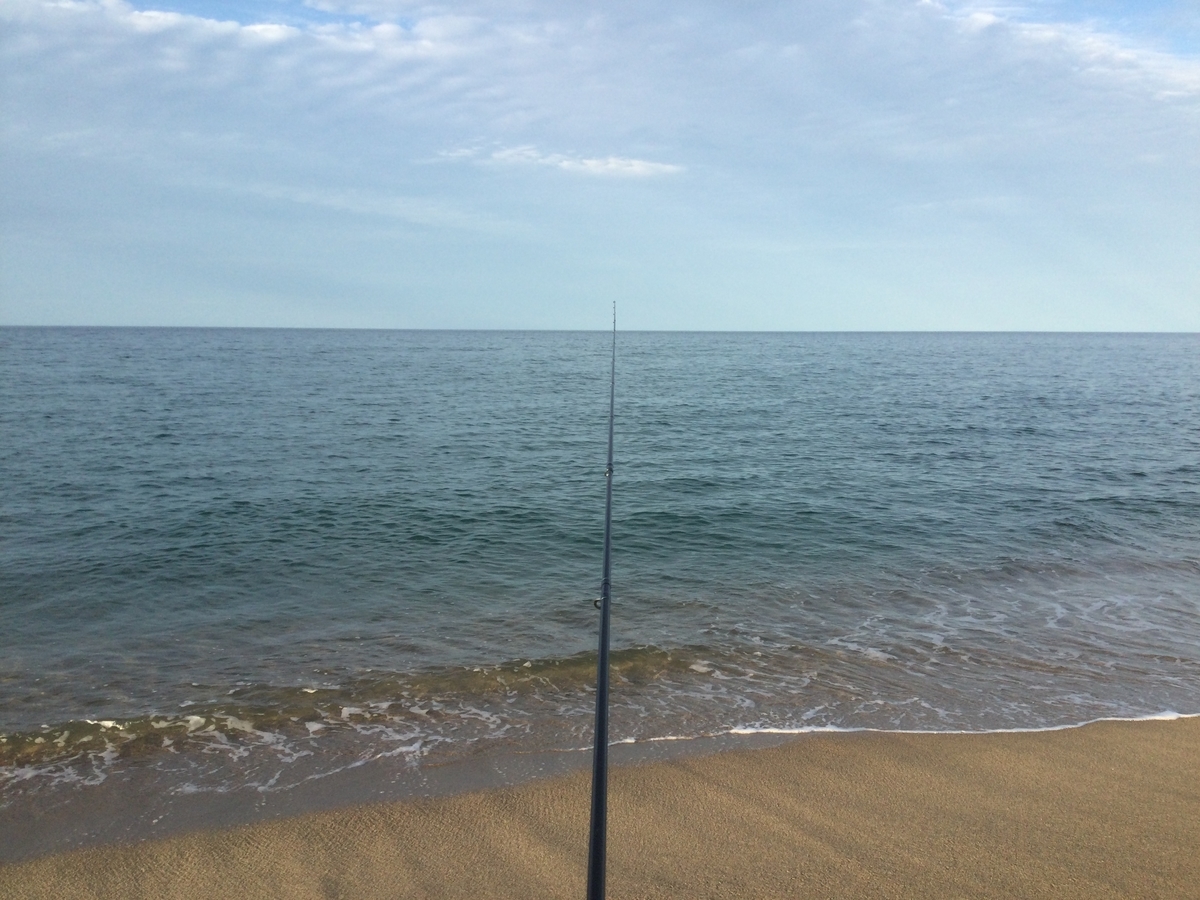 f:id:shoregomoku:20201106165633j:plain