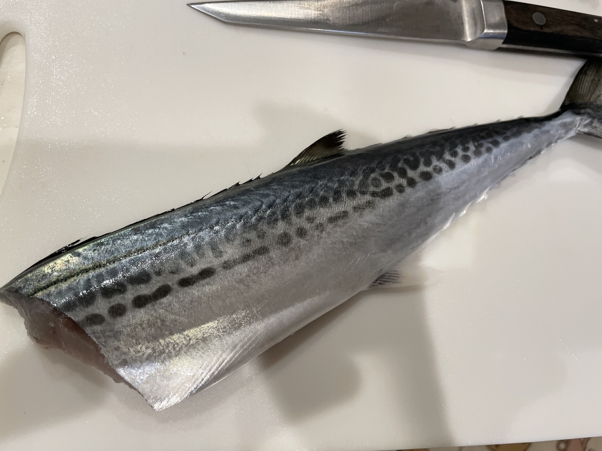 【釣り過ぎたサゴシ料理】最強レシピ!絶対おすすめしたい激ウマ「藁焼き」のススメ! - Gomoku-Life
