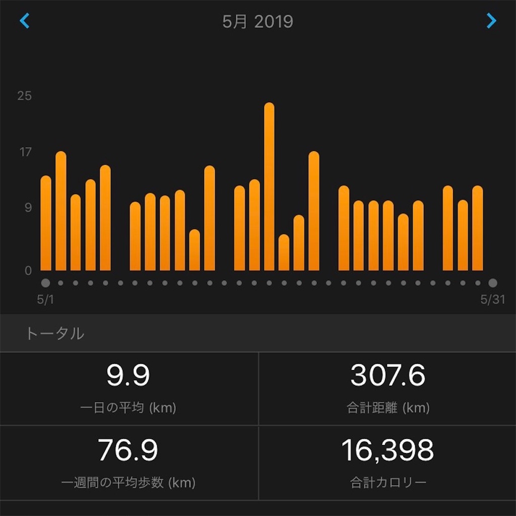 f:id:short-cut-to-runners-high:20190601191846j:image