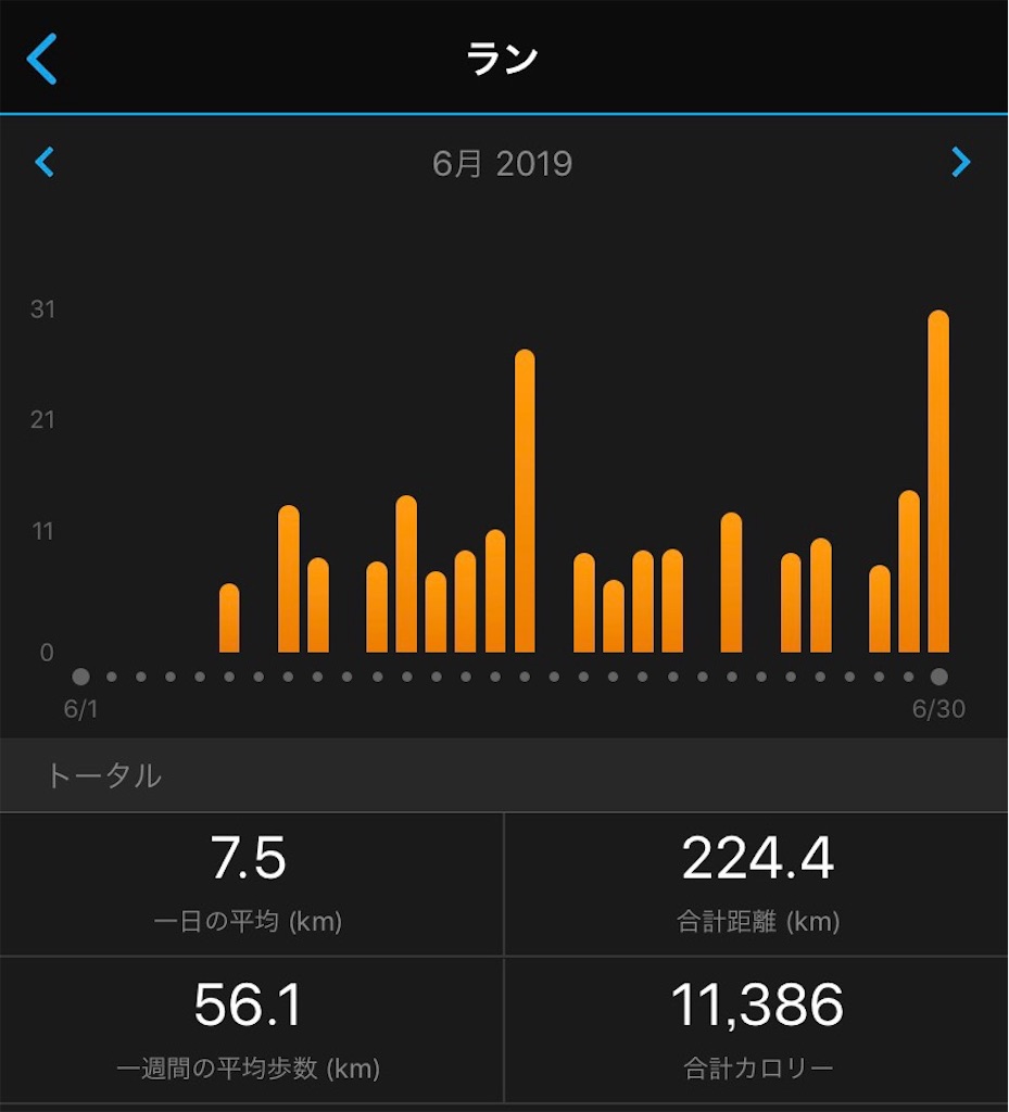 f:id:short-cut-to-runners-high:20190701111602j:image