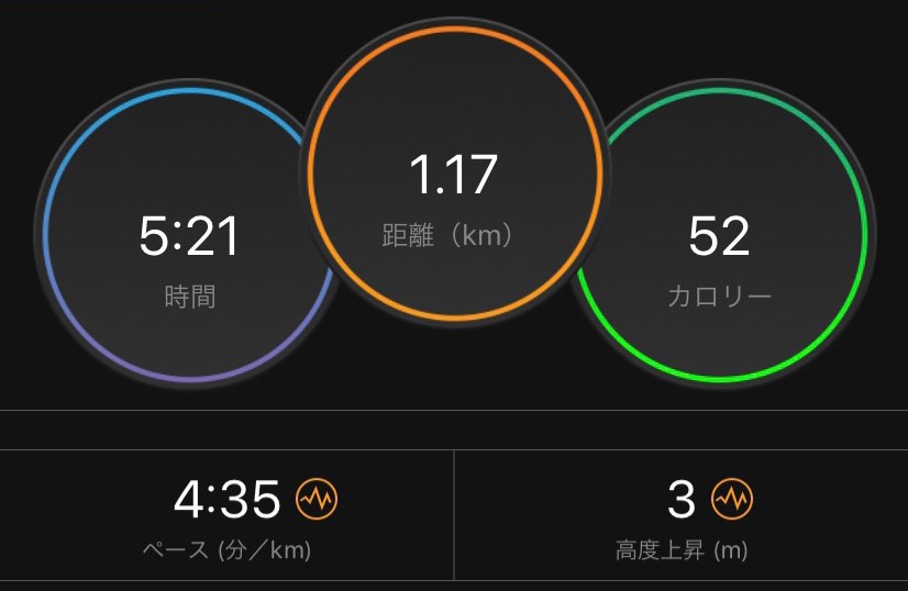 f:id:short-cut-to-runners-high:20190811090323j:plain f:id:short-cut-to-runners-high:20190811090323j:plain