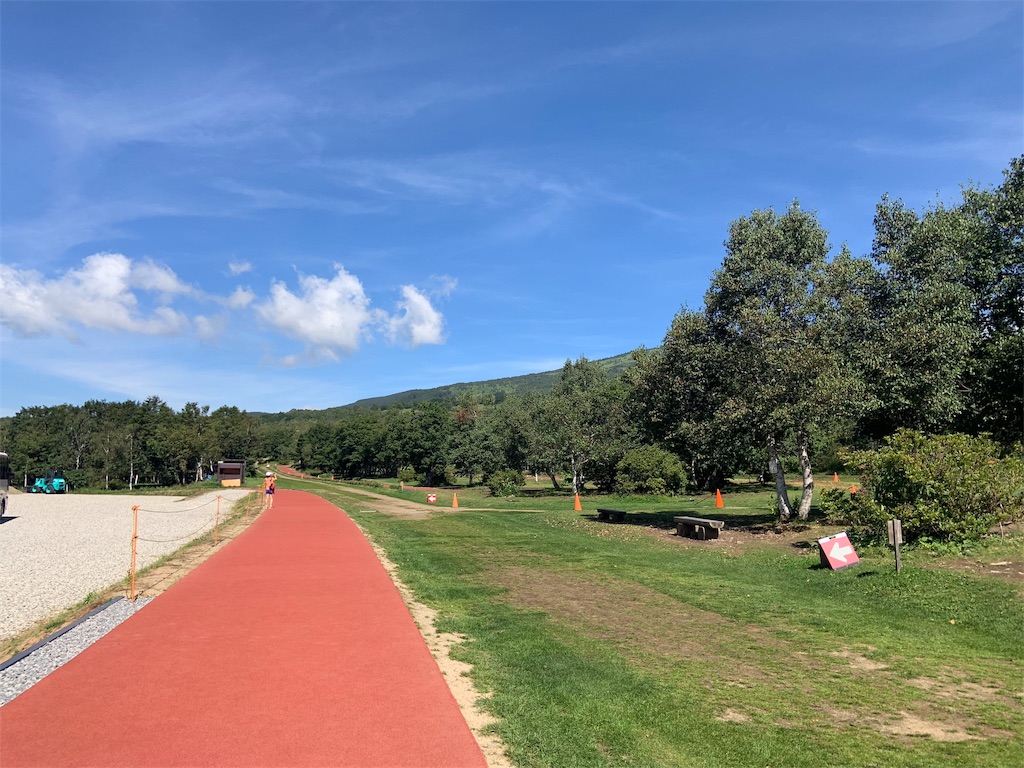 f:id:short-cut-to-runners-high:20190909210729j:image
