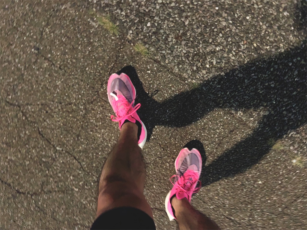 f:id:short-cut-to-runners-high:20191002134633j:image