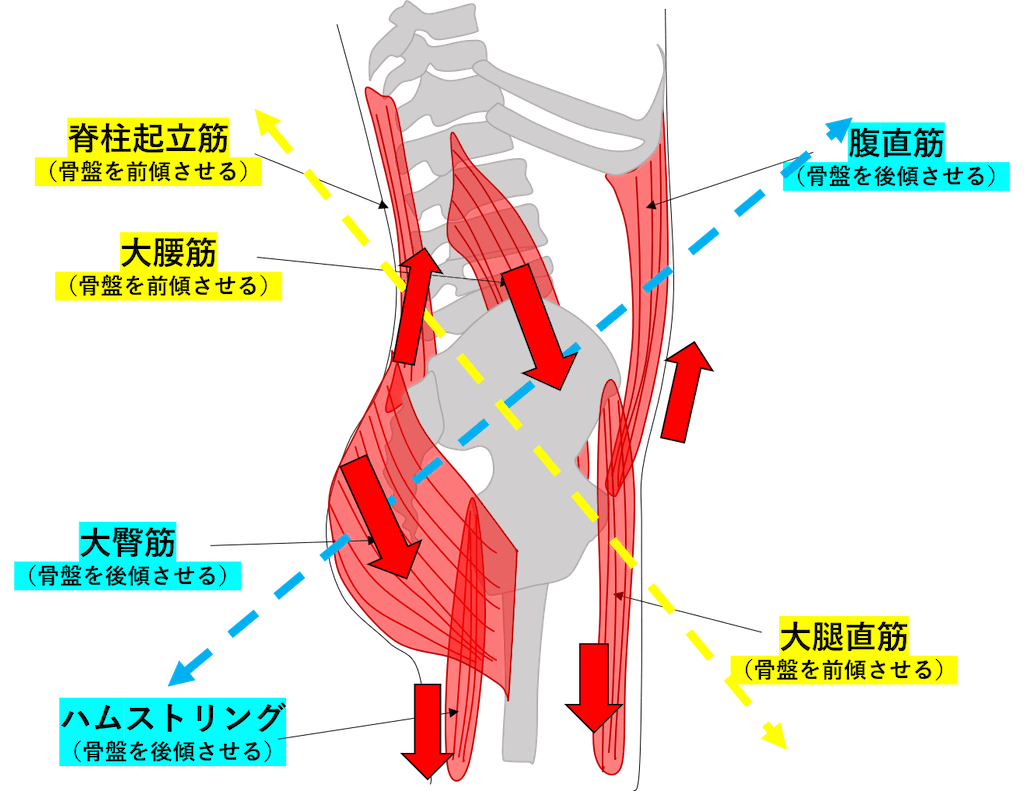 f:id:short-cut-to-runners-high:20201009130253p:plain f:id:short-cut-to-runners-high:20201009130253p:plain