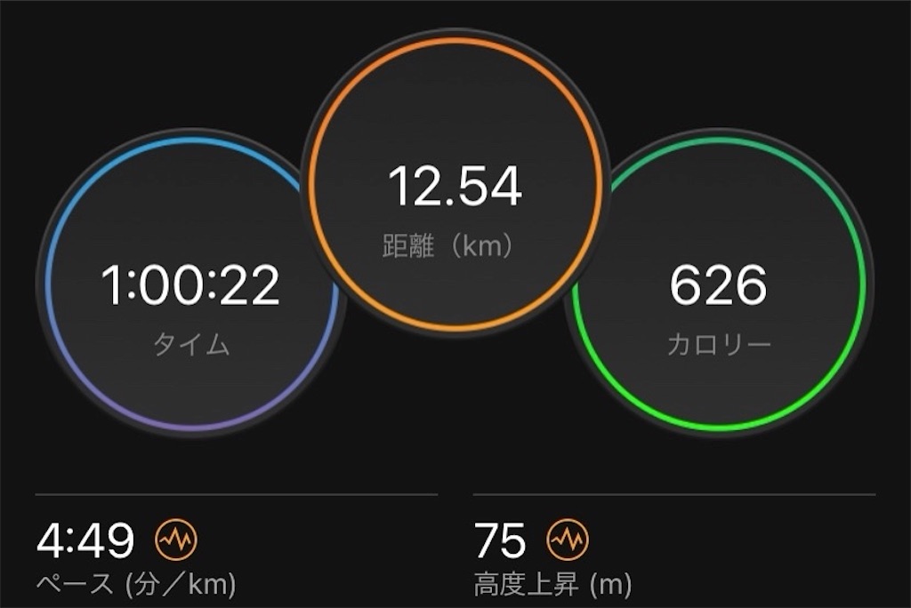 f:id:short-cut-to-runners-high:20210520142201j:plain