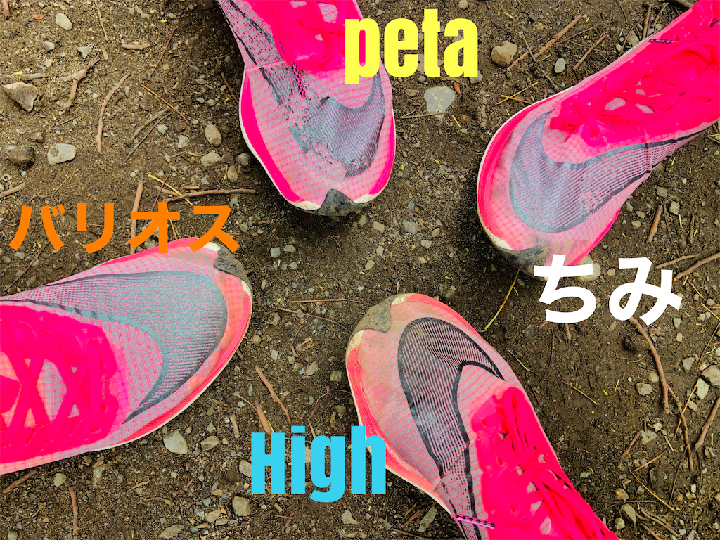 f:id:short-cut-to-runners-high:20210620191140p:plain
