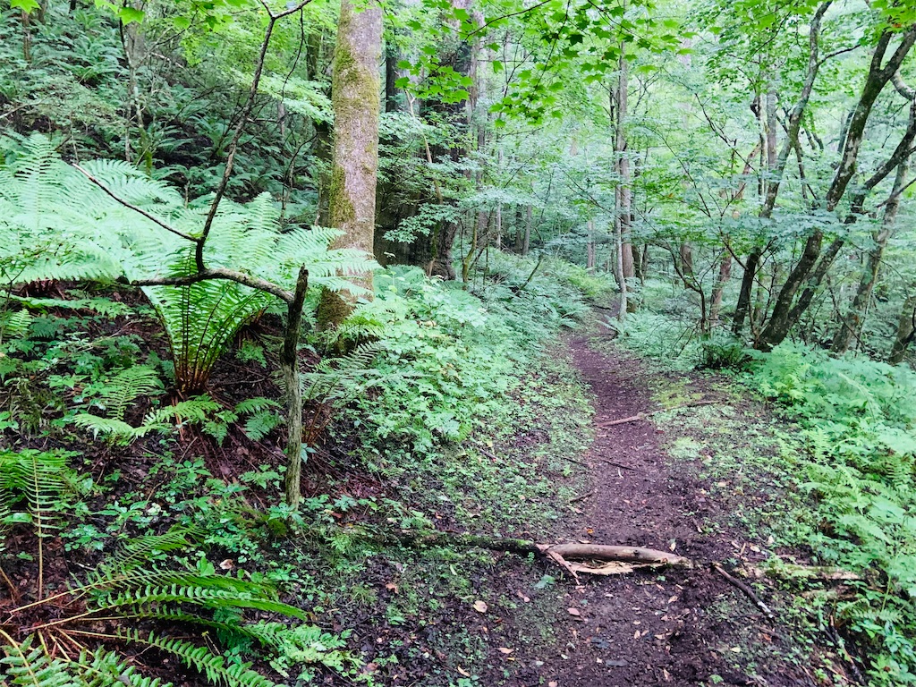 f:id:short-cut-to-runners-high:20210821145452j:plain