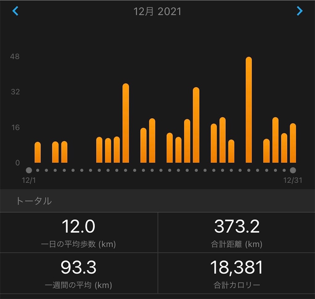 f:id:short-cut-to-runners-high:20220102133951j:plain