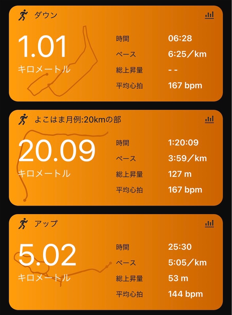 f:id:short-cut-to-runners-high:20220118104101j:plain
