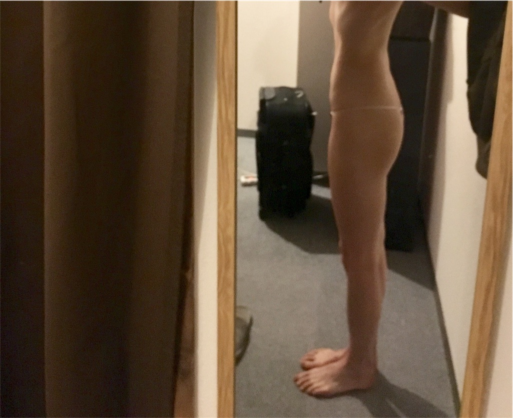 f:id:short-term-diet:20170608232851j:image f:id:short-term-diet:20170608232851j:image