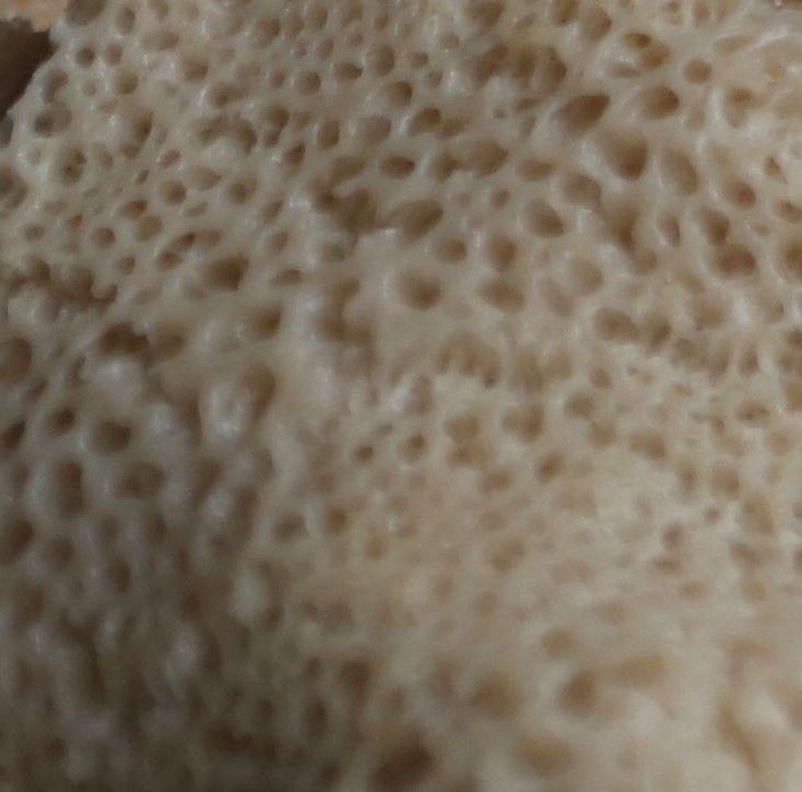 f:id:shosho19890418:20161023232837j:plain