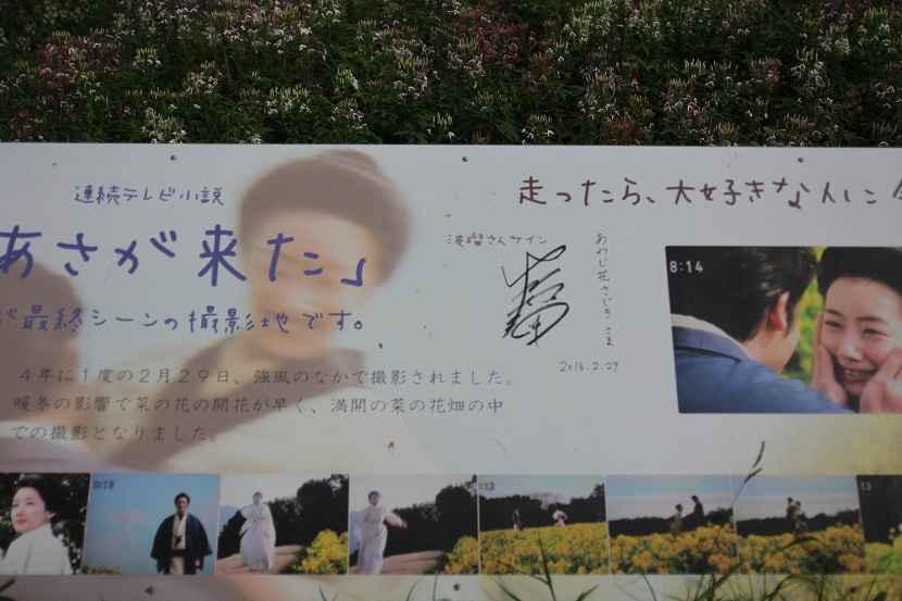 f:id:shosizu:20180812144808j:plain