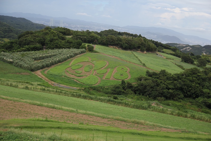 f:id:shosizu:20180812150747j:plain