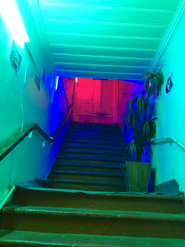 f:id:shota0708:20190228203133j:plain