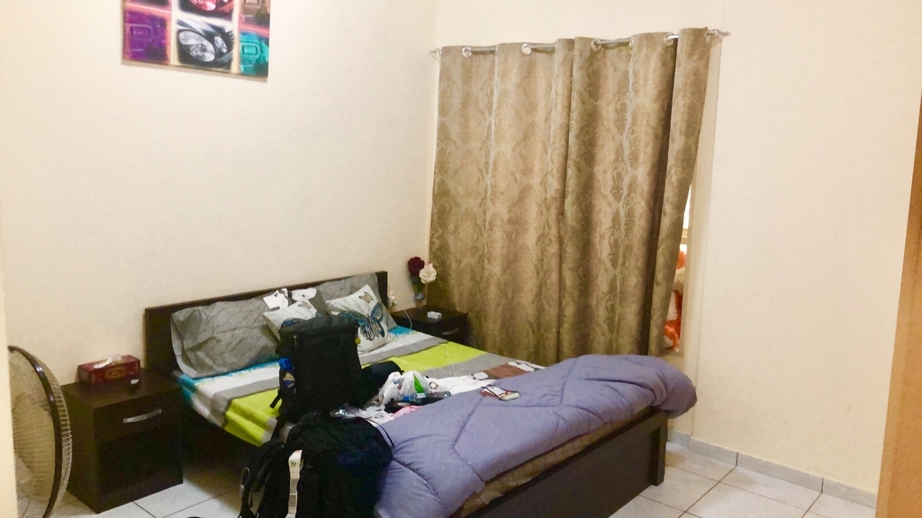 f:id:shota0708:20190307164016j:plain