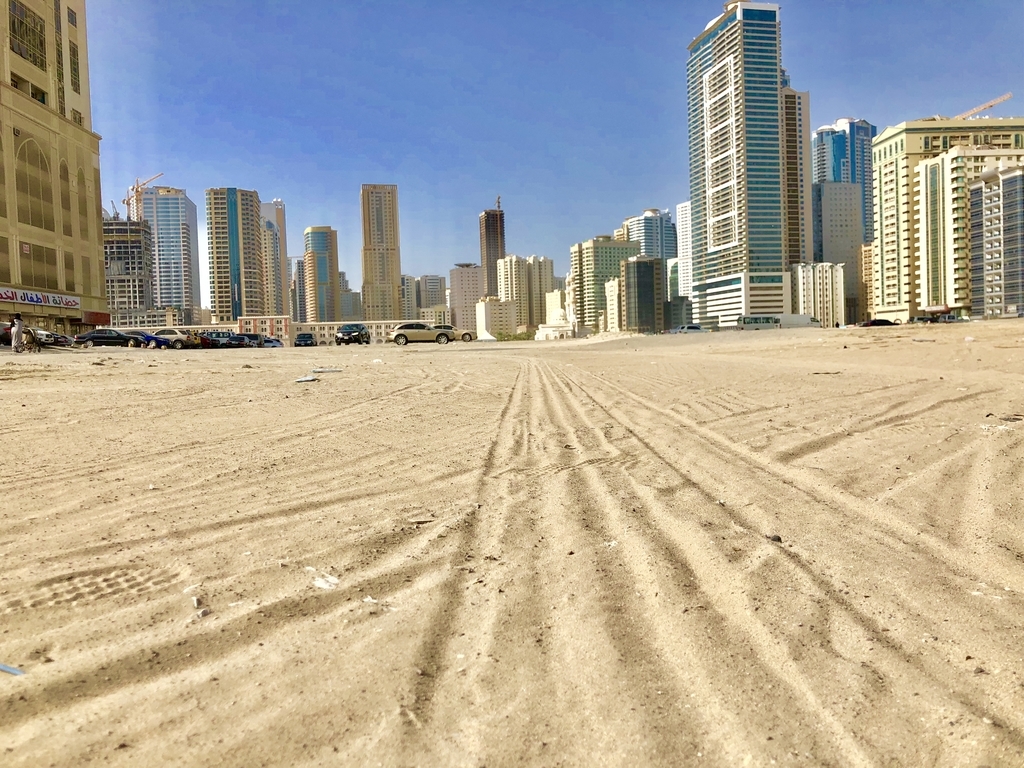 f:id:shota0708:20190307164259j:plain