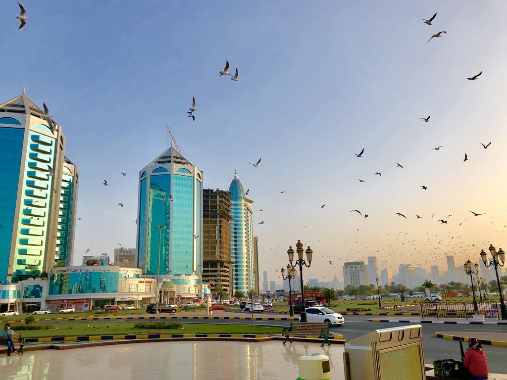 f:id:shota0708:20190307164707j:plain