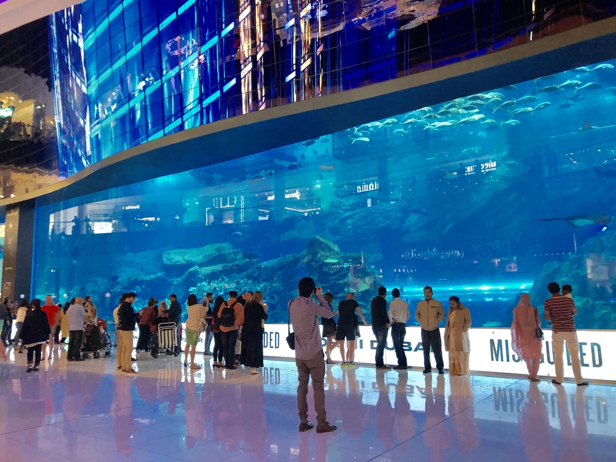 f:id:shota0708:20190322180745j:plain