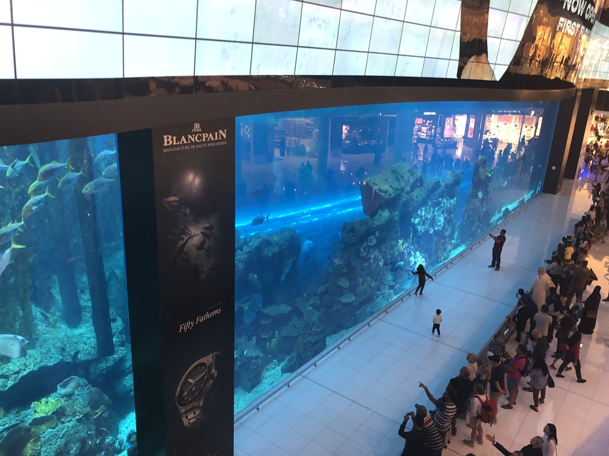 f:id:shota0708:20190322181132j:plain